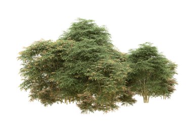 Orman arka planda izole edilmiş. 3d görüntüleme - illüstrasyon