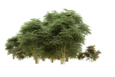 Orman arka planda izole edilmiş. 3d görüntüleme - illüstrasyon