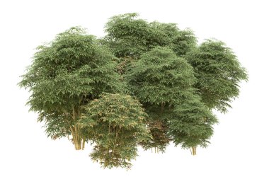 Orman arka planda izole edilmiş. 3d görüntüleme - illüstrasyon