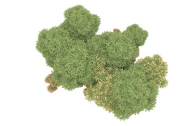 Orman arka planda izole edilmiş. 3d görüntüleme - illüstrasyon