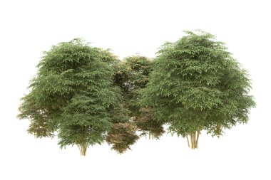 Orman arka planda izole edilmiş. 3d görüntüleme - illüstrasyon