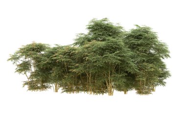 Orman arka planda izole edilmiş. 3d görüntüleme - illüstrasyon