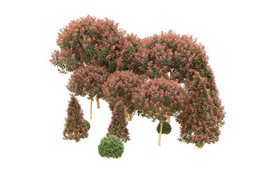 Orman arka planda izole edilmiş. 3d görüntüleme - illüstrasyon