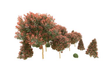 Orman arka planda izole edilmiş. 3d görüntüleme - illüstrasyon