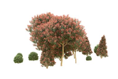 Orman arka planda izole edilmiş. 3d görüntüleme - illüstrasyon