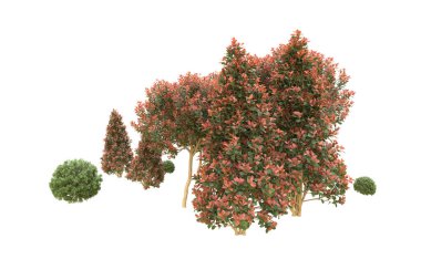 Orman arka planda izole edilmiş. 3d görüntüleme - illüstrasyon