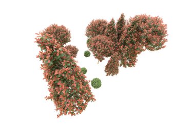 Orman arka planda izole edilmiş. 3d görüntüleme - illüstrasyon