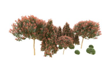 Orman arka planda izole edilmiş. 3d görüntüleme - illüstrasyon