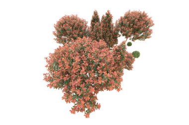 Orman arka planda izole edilmiş. 3d görüntüleme - illüstrasyon