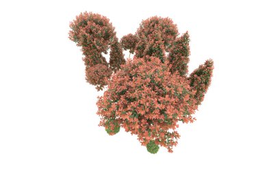 Orman arka planda izole edilmiş. 3d görüntüleme - illüstrasyon