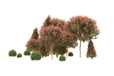 Orman arka planda izole edilmiş. 3d görüntüleme - illüstrasyon