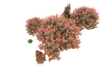 Orman arka planda izole edilmiş. 3d görüntüleme - illüstrasyon