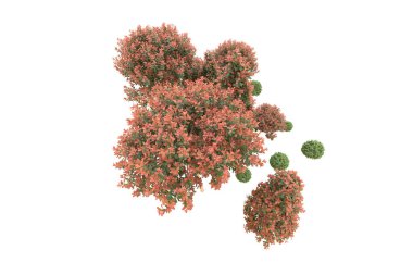 Orman arka planda izole edilmiş. 3d görüntüleme - illüstrasyon