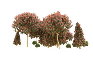 Orman arka planda izole edilmiş. 3d görüntüleme - illüstrasyon