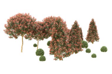 Orman arka planda izole edilmiş. 3d görüntüleme - illüstrasyon