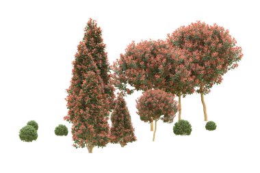 Orman arka planda izole edilmiş. 3d görüntüleme - illüstrasyon