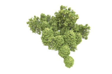 Orman arka planda izole edilmiş. 3d görüntüleme - illüstrasyon