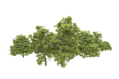 Orman arka planda izole edilmiş. 3d görüntüleme - illüstrasyon