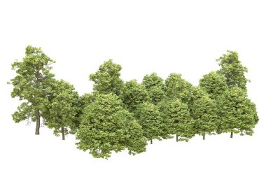 Orman arka planda izole edilmiş. 3d görüntüleme - illüstrasyon