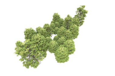 Orman arka planda izole edilmiş. 3d görüntüleme - illüstrasyon