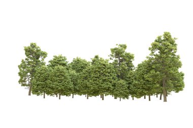 Orman arka planda izole edilmiş. 3d görüntüleme - illüstrasyon