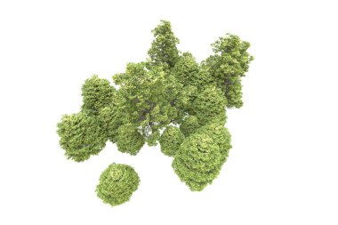 Orman arka planda izole edilmiş. 3d görüntüleme - illüstrasyon