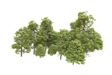 Orman arka planda izole edilmiş. 3d görüntüleme - illüstrasyon