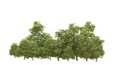 Orman arka planda izole edilmiş. 3d görüntüleme - illüstrasyon