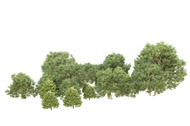 Orman arka planda izole edilmiş. 3d görüntüleme - illüstrasyon