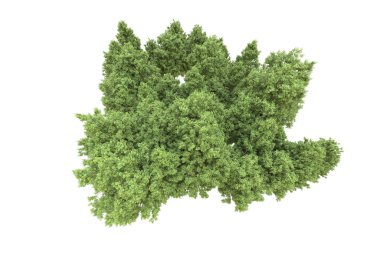 Orman arka planda izole edilmiş. 3d görüntüleme - illüstrasyon