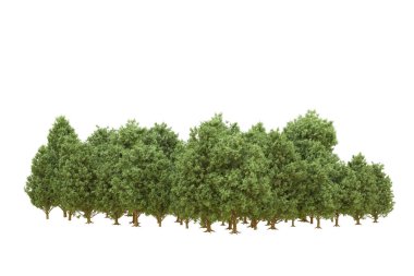 Orman arka planda izole edilmiş. 3d görüntüleme - illüstrasyon