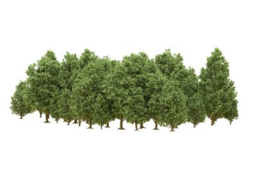 Orman arka planda izole edilmiş. 3d görüntüleme - illüstrasyon