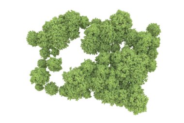 Orman arka planda izole edilmiş. 3d görüntüleme - illüstrasyon