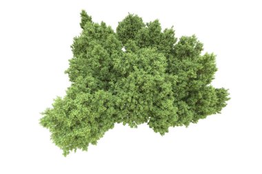 Orman arka planda izole edilmiş. 3d görüntüleme - illüstrasyon