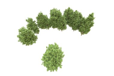 Orman arka planda izole edilmiş. 3d görüntüleme - illüstrasyon