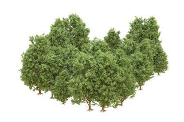 Orman arka planda izole edilmiş. 3d görüntüleme - illüstrasyon