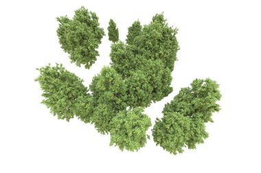 Orman arka planda izole edilmiş. 3d görüntüleme - illüstrasyon