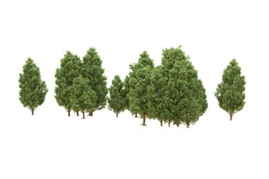 Orman arka planda izole edilmiş. 3d görüntüleme - illüstrasyon