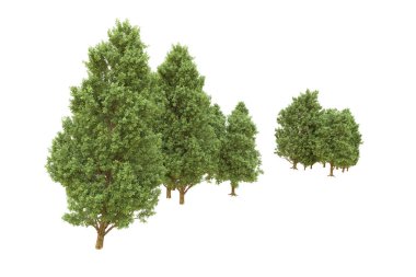 Orman arka planda izole edilmiş. 3d görüntüleme - illüstrasyon