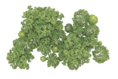 Orman arka planda izole edilmiş. 3d görüntüleme - illüstrasyon