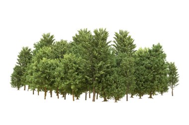 Orman arka planda izole edilmiş. 3d görüntüleme - illüstrasyon