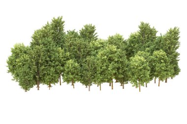 Orman arka planda izole edilmiş. 3d görüntüleme - illüstrasyon