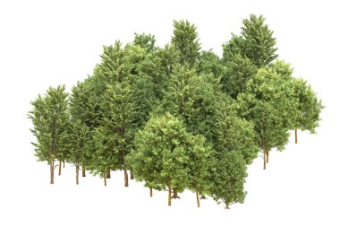 Orman arka planda izole edilmiş. 3d görüntüleme - illüstrasyon
