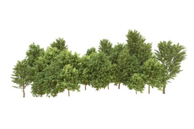 Orman arka planda izole edilmiş. 3d görüntüleme - illüstrasyon