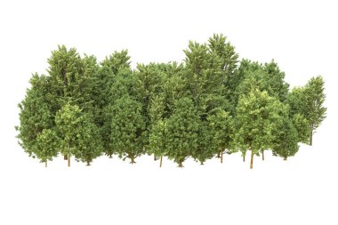 Orman arka planda izole edilmiş. 3d görüntüleme - illüstrasyon