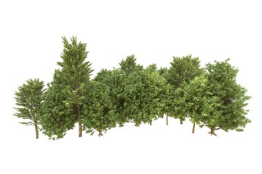 Orman arka planda izole edilmiş. 3d görüntüleme - illüstrasyon