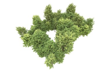 Orman arka planda izole edilmiş. 3d görüntüleme - illüstrasyon