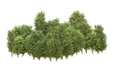 Orman arka planda izole edilmiş. 3d görüntüleme - illüstrasyon