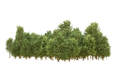 Orman arka planda izole edilmiş. 3d görüntüleme - illüstrasyon