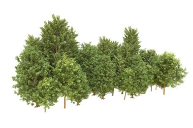 Orman beyaz arka planda izole edilmiş. 3d görüntüleme - illüstrasyon